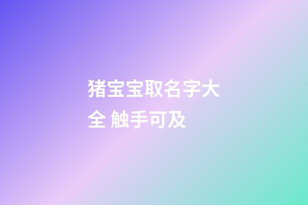 猪宝宝取名字大全 触手可及